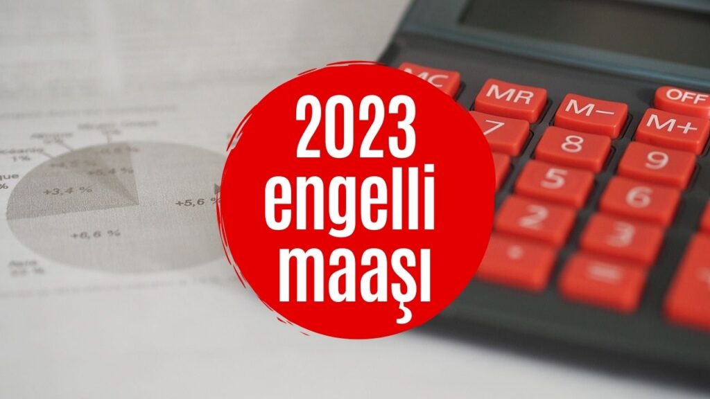 2022 Engelli Aylığı Ne Kadar Oldu? 2022 Yaşlılık Aylığı Ne Kadar Oldu? Ne Kadar Zam Yapılacak?