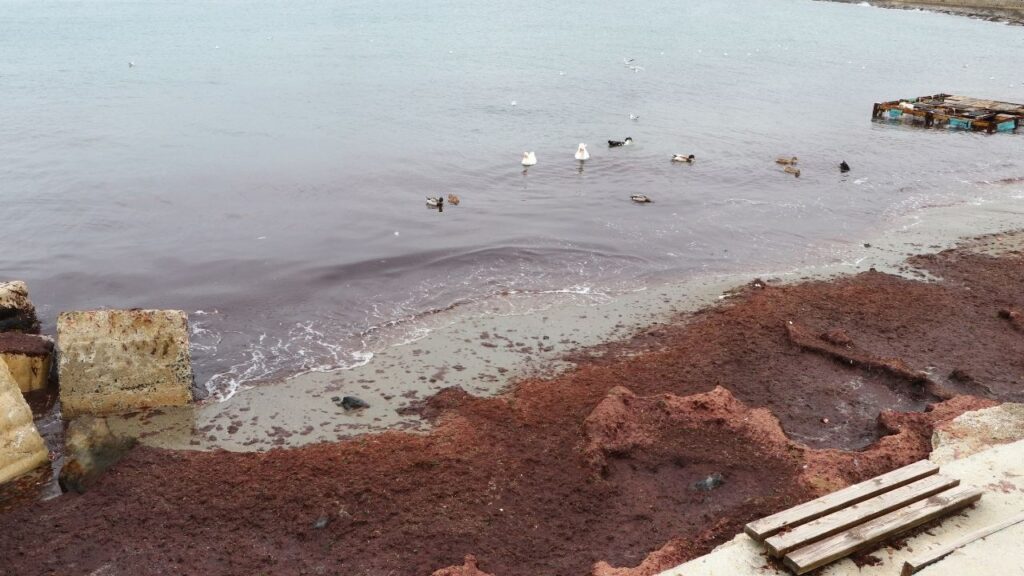 Tekirdağ Sahili Lodos Yüzünden Kırmızıya Büründü